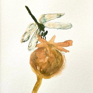 Dragonfly On Poppy Pod - Original Art Handmade Painting by Tristina Dietz Elmes